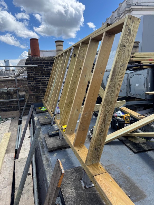 Timber rafters in place on a roof
